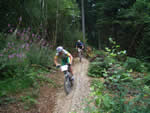 Nearby cycle trails