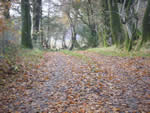 View down the drive