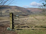 View from the gate
